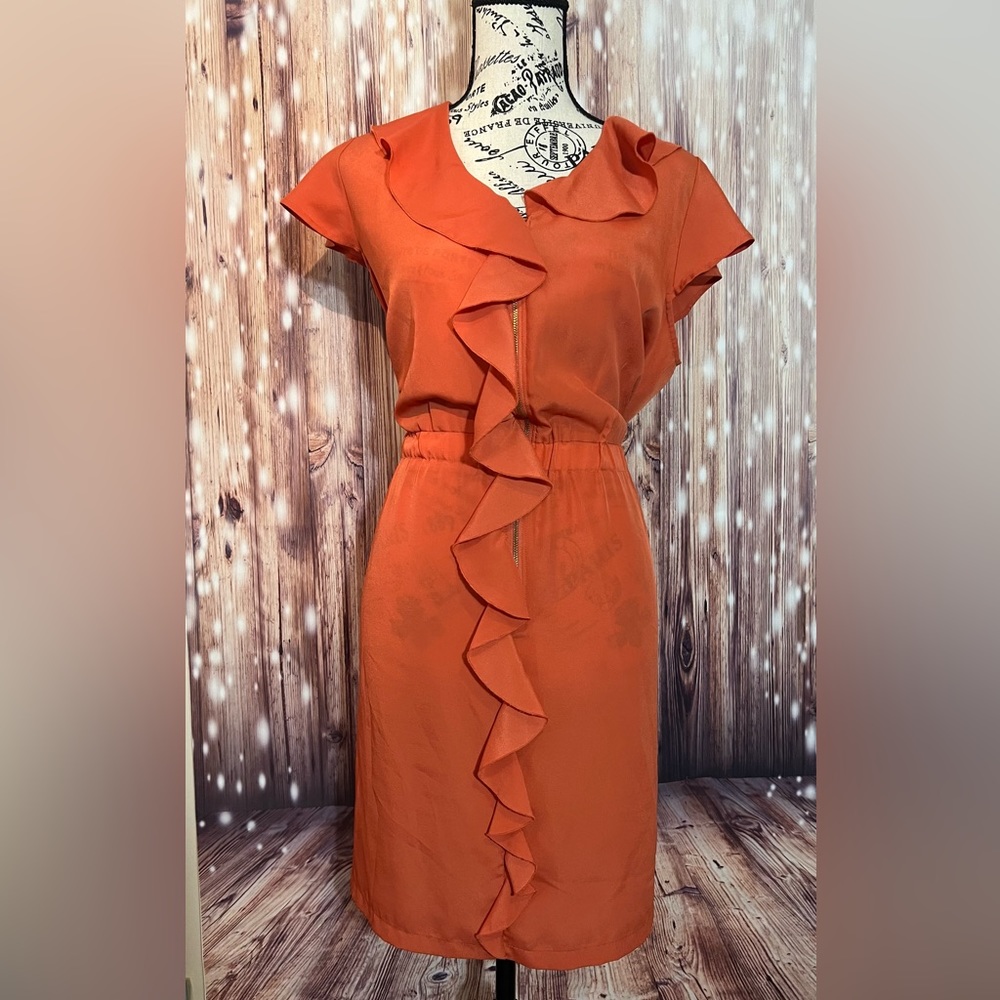 Miss Tina Knowles Dress